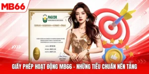 Giấy Phép Hoạt Động MB66