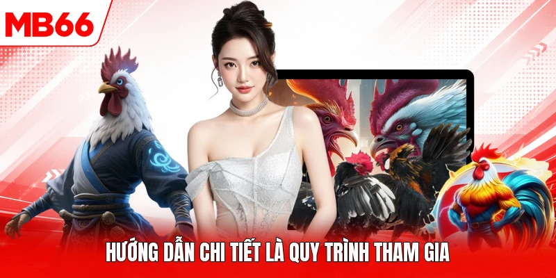 Hướng dẫn chi tiết là quy trình tham gia