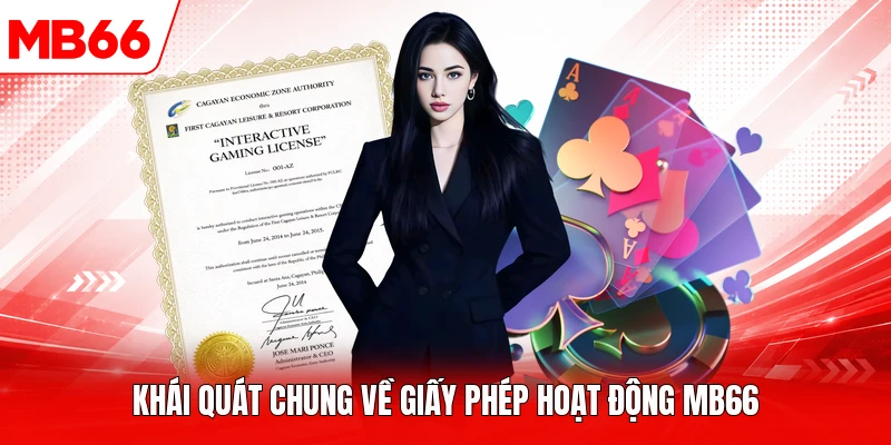 Khái quát chung về giấy phép hoạt động MB66