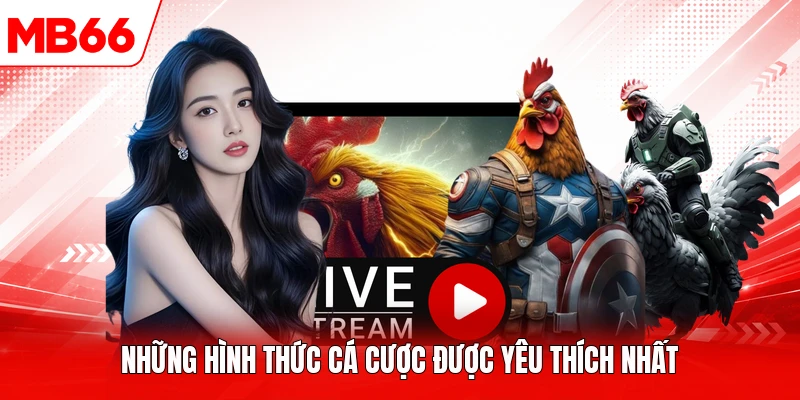 Những hình thức cá cược được yêu thích nhất