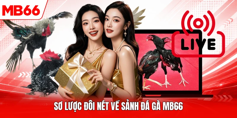 Sơ lược đôi nét về sảnh đá gà MB66