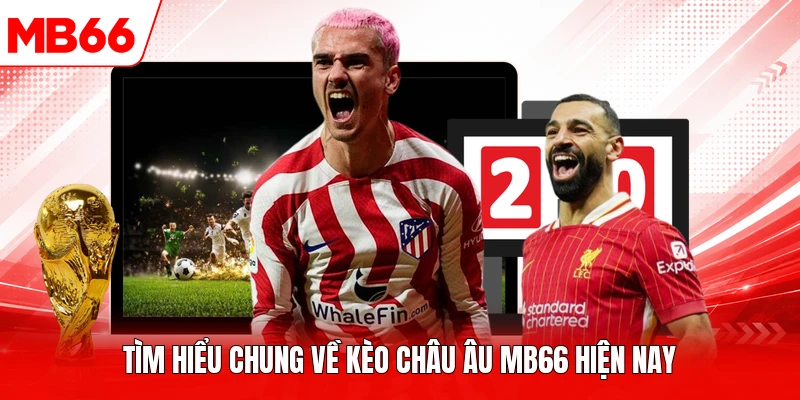 Tìm hiểu chung về kèo châu Âu MB66 hiện nay